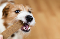 Vleesstrips en Filet strips