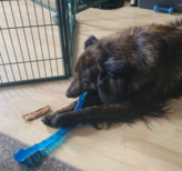 Safesticks