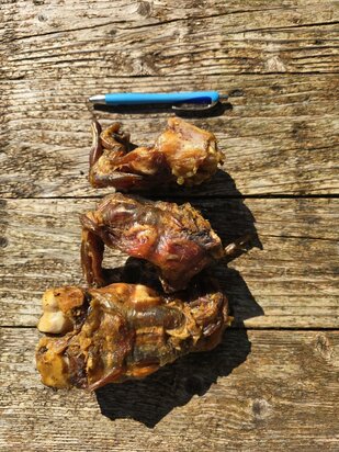 Achillespees per stuk