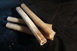 Kauwstaaf ca. 25cm 10 stuks