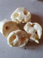 Honingneus klein per 20 stuks