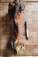 Dinobot Paard in krimpfolie