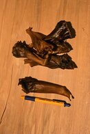 Paardenoren zonder haar 100 gram