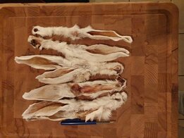 Konijnenoren met haar 150 gram