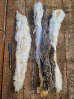 Konijnenhuid met haar 2 stuks