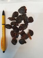 Konijnenhartjes 100 gram