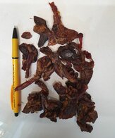 Konijnenlong 100 gram