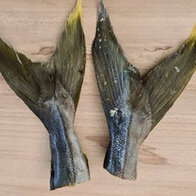 King Fish staarten 150 gram