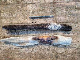 Kophuid ca. 35cm met haar per stuk