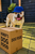 Hypoallergene Ontdekbox