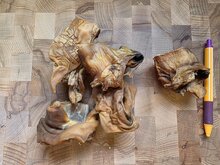 Runderoor pitten 500 gram